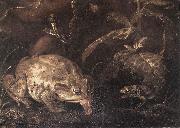 SCHRIECK, Otto Marseus van Still-Life with Insects and Amphibians (detail) qr china oil painting artist